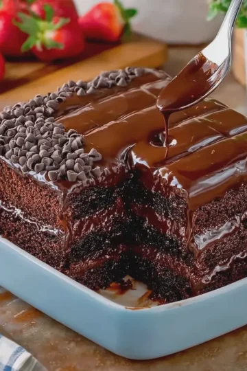 Triple Chocolate Cake with Hot Fudge Sauce
